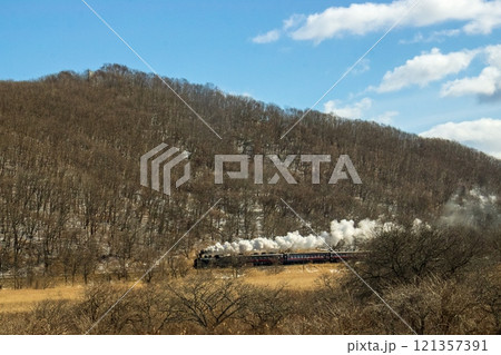 釧路湿原を行くSL冬の湿原号 釧路湿原を行くSL冬の湿原号 121357391