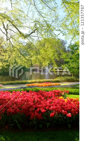 Keukenhof flower garden with blooming tulip flowerbeds. One of the world's largest flower gardens. Lisse, the Netherlands. Keukenhof flower garden with blooming tulip flowerbeds. One of the world's largest flower gardens. Lisse, the Netherlands. 121357787