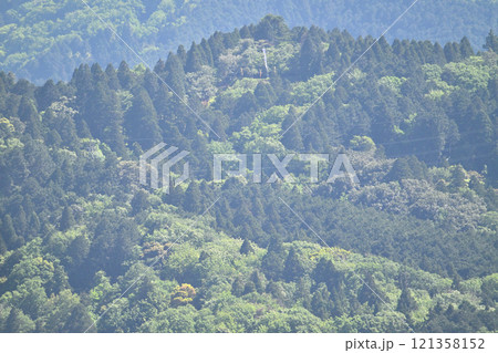 快晴の「関ヶ原古戦場」 各大名陣地の様子 快晴の「関ヶ原古戦場」 各大名陣地の様子 121358152