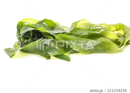 Seaweed wakame isolated on white background. Japanese organic fresh,healthy food. Seaweed wakame isolated on white background. Japanese organic fresh,healthy food. 121358230