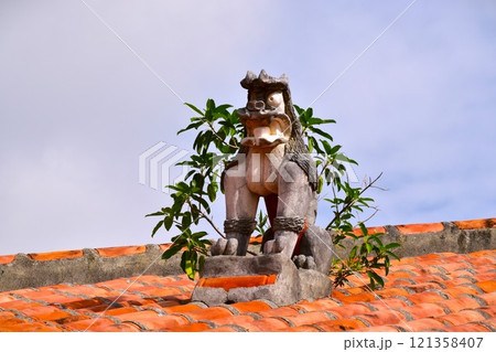 アコウの木のオーラを纏うユーモラスなシーサー アコウの木のオーラを纏うユーモラスなシーサー 121358407