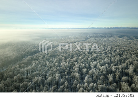 Aerial view of snow covered white forest with frozen trees in cold winter. Dense wild woodland in wintertime Aerial view of snow covered white forest with frozen trees in cold winter. Dense wild woodland in wintertime 121358502