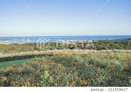 茨城　ひたち海浜公園から望む海 121358617