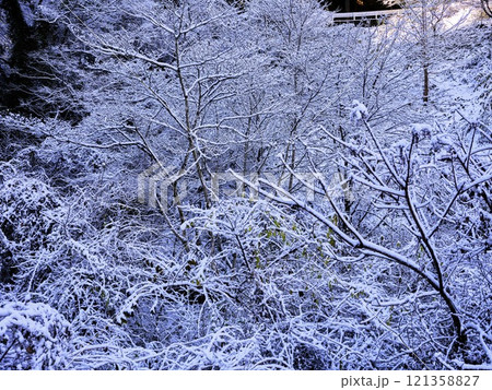 雪の降った祖谷 雪の降った祖谷 121358827