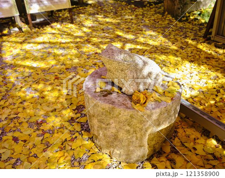 《高知県》竹林寺の紅葉 《高知県》竹林寺の紅葉 121358900