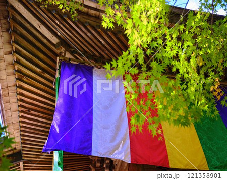 《高知県》竹林寺の紅葉 121358901