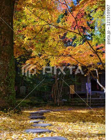 《高知県》竹林寺の紅葉 《高知県》竹林寺の紅葉 121358907