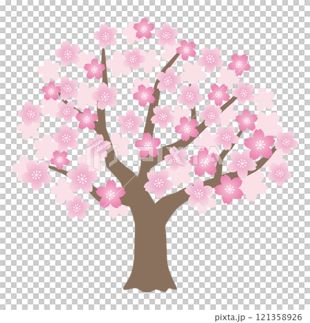 桜のベクターイラスト 121358926