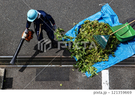 ヘルメットと作業服の植木職人が剪定した小枝を拾い集めビニールシートに包んでいる 121359669