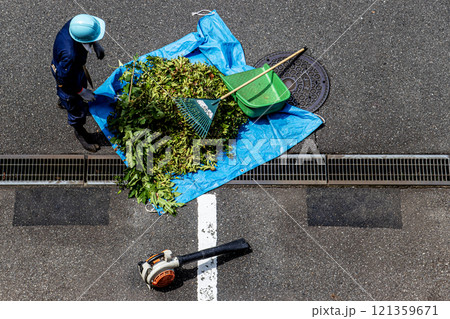 ヘルメットと作業服の植木職人が剪定した小枝を拾い集めビニールシートに包んでいる 121359671
