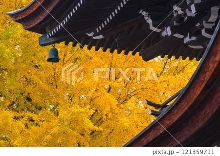 241127飛騨国分寺g064 241127飛騨国分寺g064 121359711