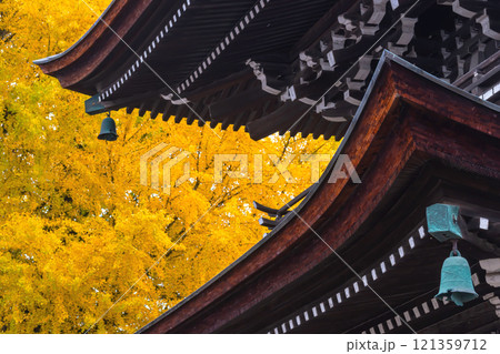 241127飛騨国分寺g067 121359712