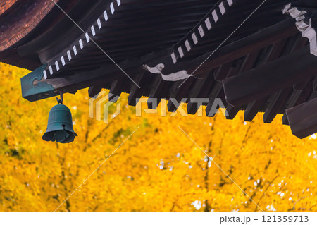 241127飛騨国分寺g070 121359713