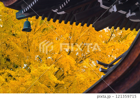 241127飛騨国分寺g074 121359715