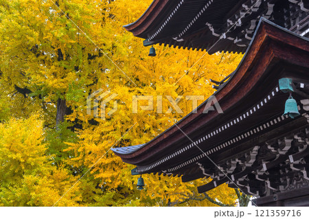 241127飛騨国分寺g080 121359716