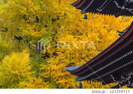 241127飛騨国分寺g081 121359717