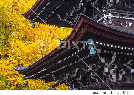 241127飛騨国分寺g091 121359719