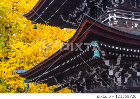 241127飛騨国分寺g092 241127飛騨国分寺g092 121359720