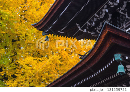 241127飛騨国分寺g096 241127飛騨国分寺g096 121359721