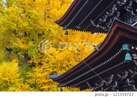 241127飛騨国分寺g101 121359722