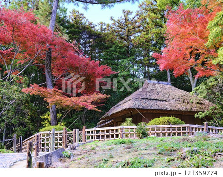 後楽園の茅葺き屋根 後楽園の茅葺き屋根 121359774