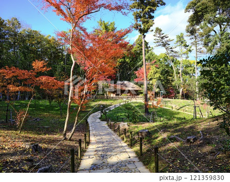 岡山 後楽園 紅葉 121359830