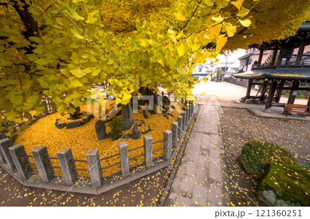 241203飛騨国分寺s077 241203飛騨国分寺s077 121360251