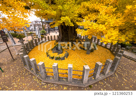 241203飛騨国分寺s087 121360253