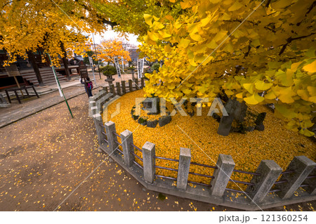 241203飛騨国分寺s088 121360254