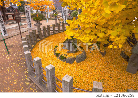 241203飛騨国分寺s109 241203飛騨国分寺s109 121360259