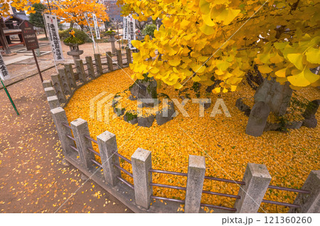 241203飛騨国分寺s111 121360260