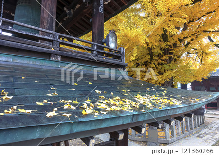 241203飛騨国分寺z015 121360266