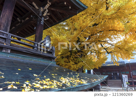 241203飛騨国分寺z022 121360269