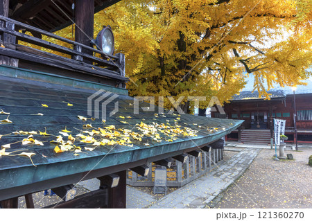 241203飛騨国分寺z024 121360270