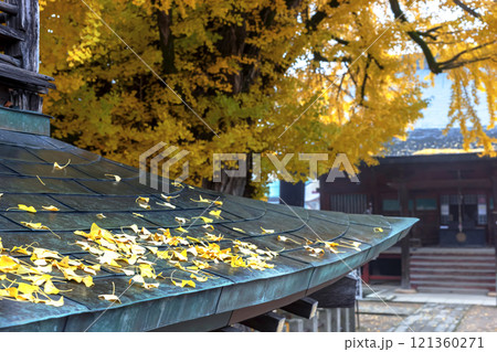 241203飛騨国分寺z026 121360271