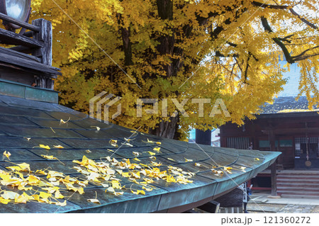 241203飛騨国分寺z031 241203飛騨国分寺z031 121360272