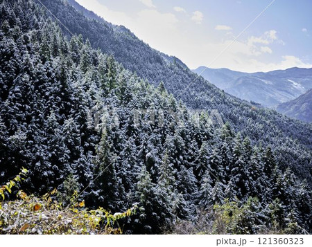 雪の降った祖谷 121360323