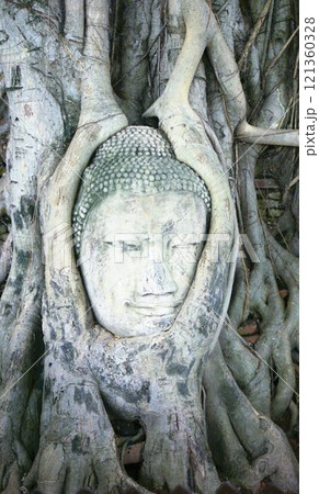 アユタヤ 121360328