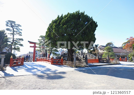 鶴岡八幡宮境内（三の鳥居、太鼓橋） 121360557