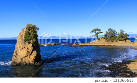 湘南三浦半島の立石公園のふゆ 湘南三浦半島の立石公園のふゆ 121360613