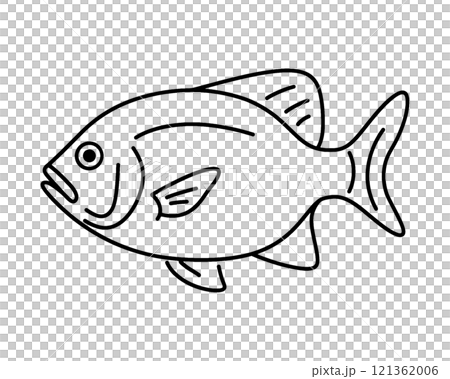 簡單的手繪線條畫魚插圖，在透明背景上剪出 121362006