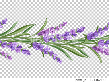 Lavender flowers. Hand drawn floral seamless border illustration 121362168