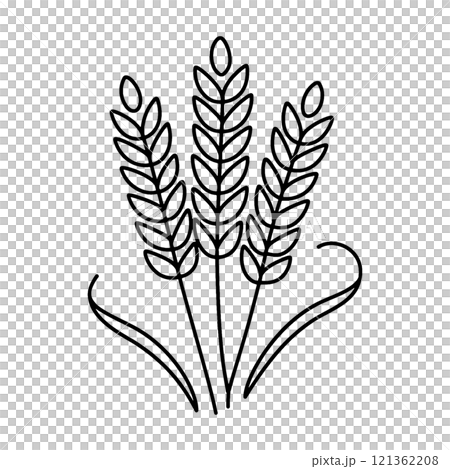 Simple hand-drawn line drawing illustration of wheat ears, cut out on transparent background 121362208