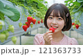 イチゴ狩りをする女の子 121363733