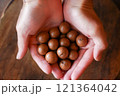 採れたての新鮮マカダミアナッツ 121364042