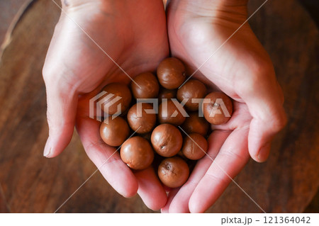 採れたての新鮮マカダミアナッツ 121364042