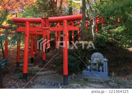 静岡県袋井市　国指定重要文化財　油山寺 121364325