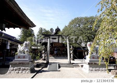 荘内神社 三の鳥居から本殿を見る 121364336