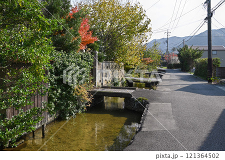 【山口県萩市】藍場川沿いの風景 121364502