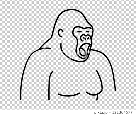 あくびをしている退屈なゴリラの手描き線画イラスト　透過背景の切り抜き 121364577